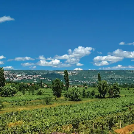 Ferienhaus Awesome In With Wifi Runovic